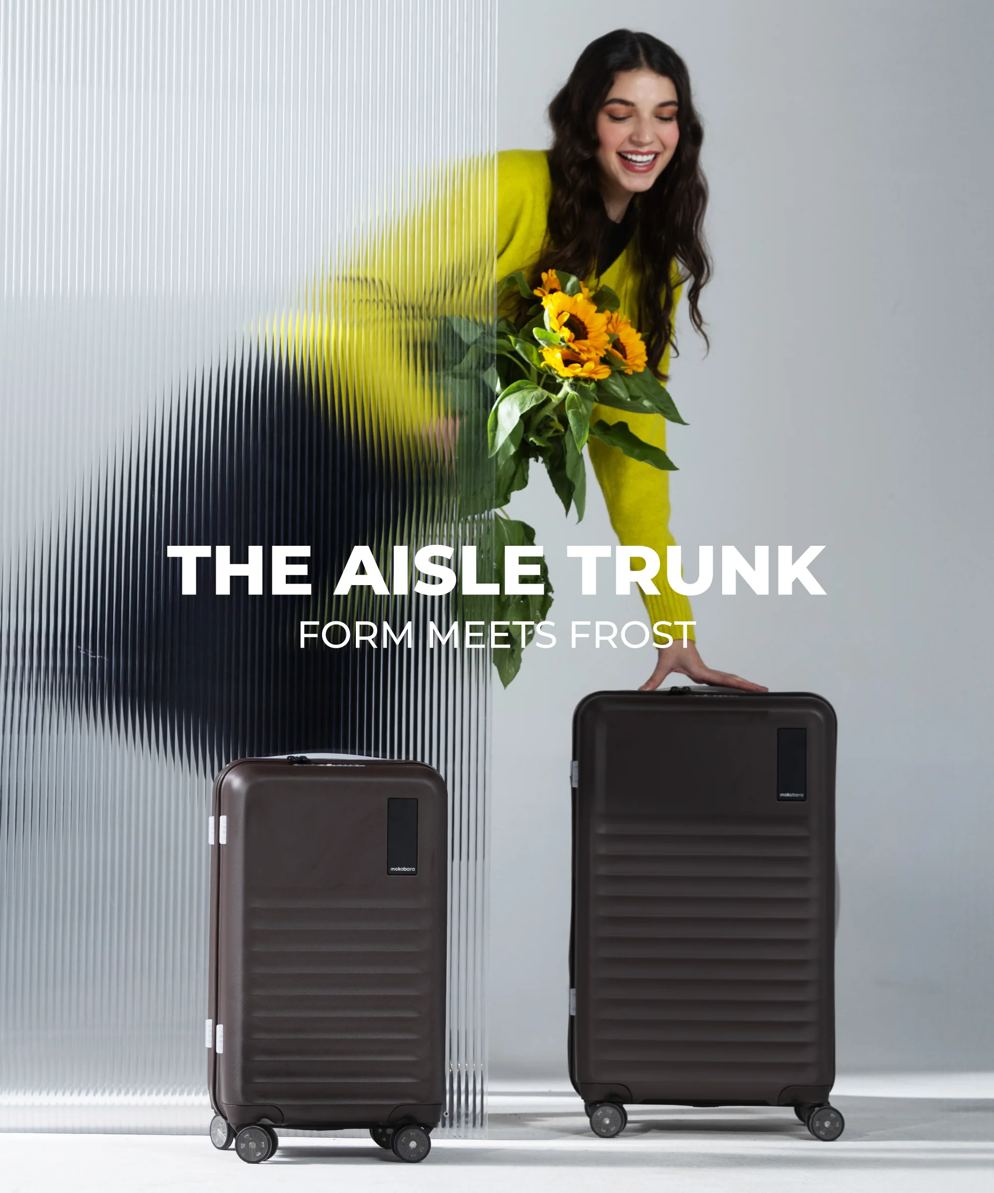 The Aisle Trunk - Set of 2 - Image 30