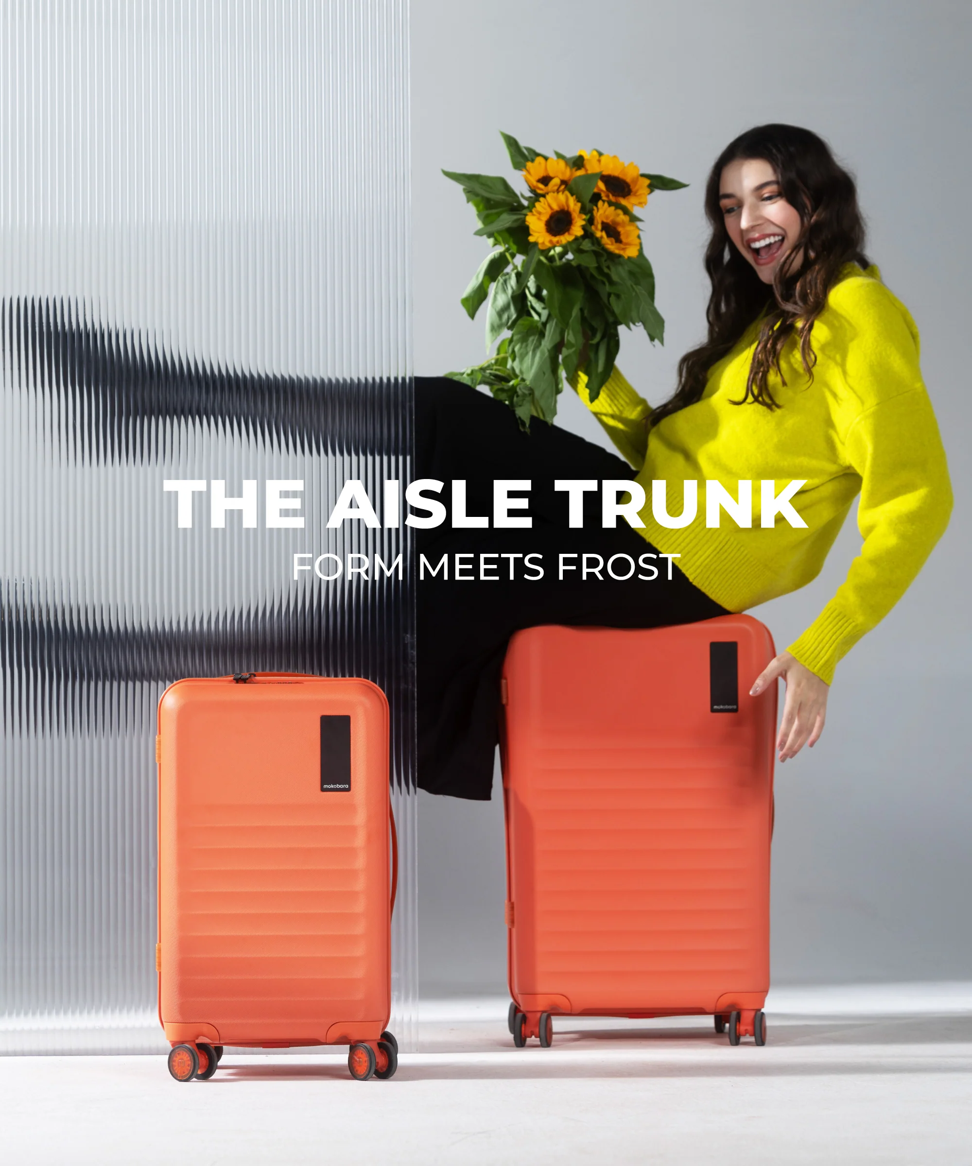 The Aisle Trunk - Set of 2 - Image 38