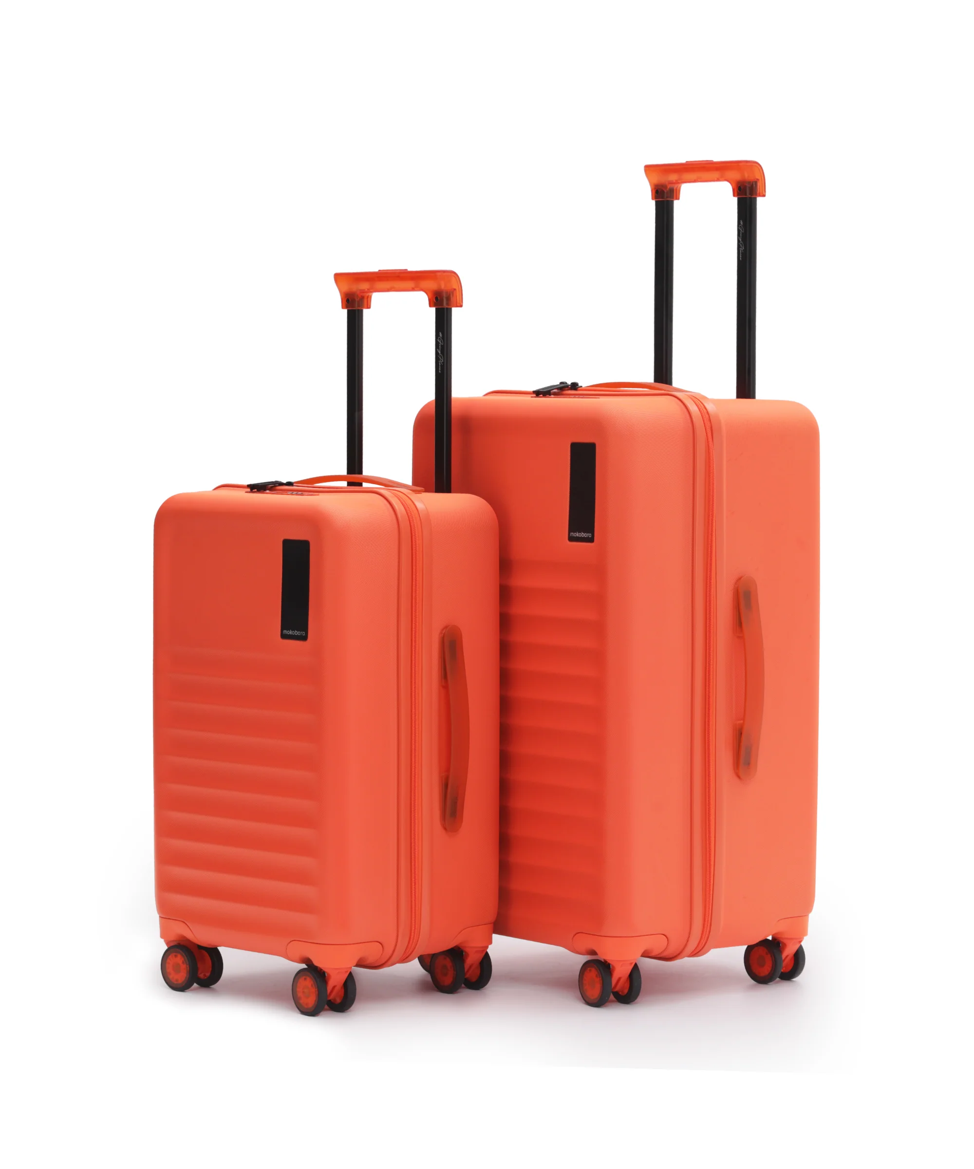 The Aisle Trunk - Set of 2 - Image 4