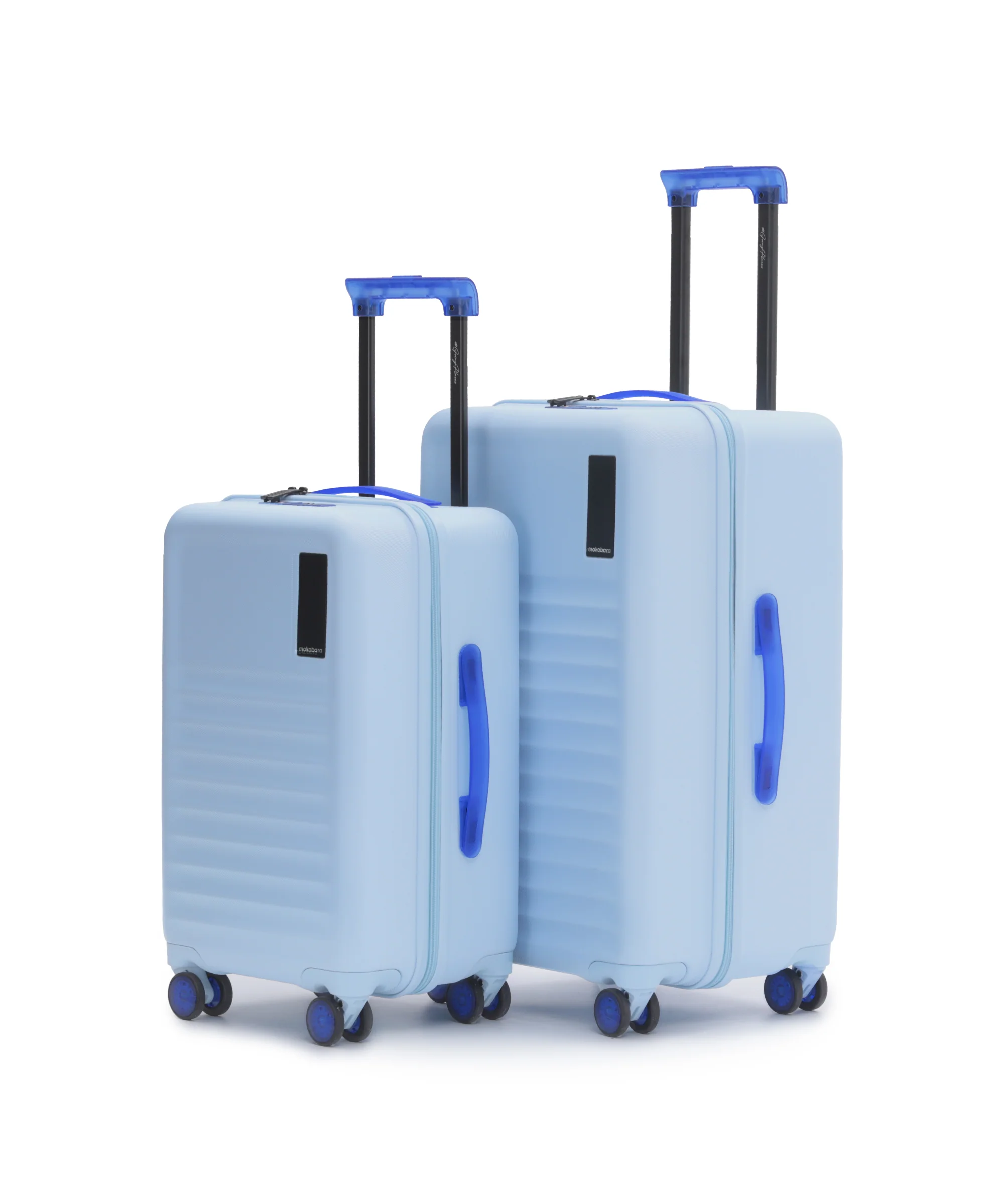 The Aisle Trunk - Set of 2 - Image 5