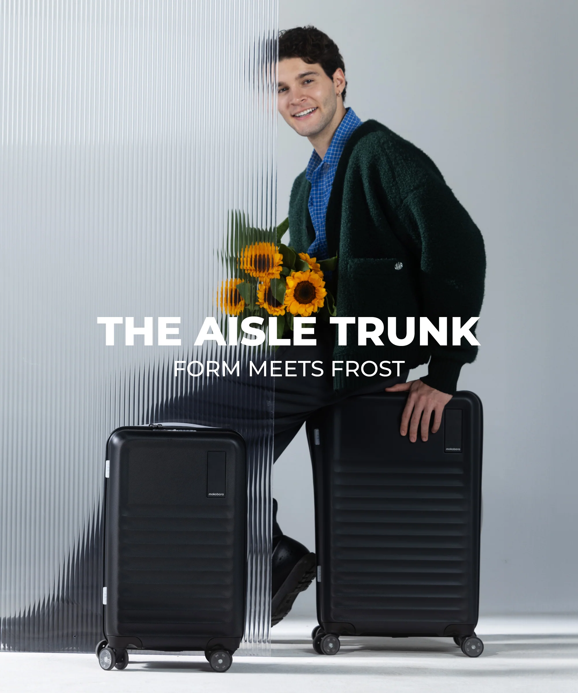 The Aisle Trunk - Set of 2 - Image 6