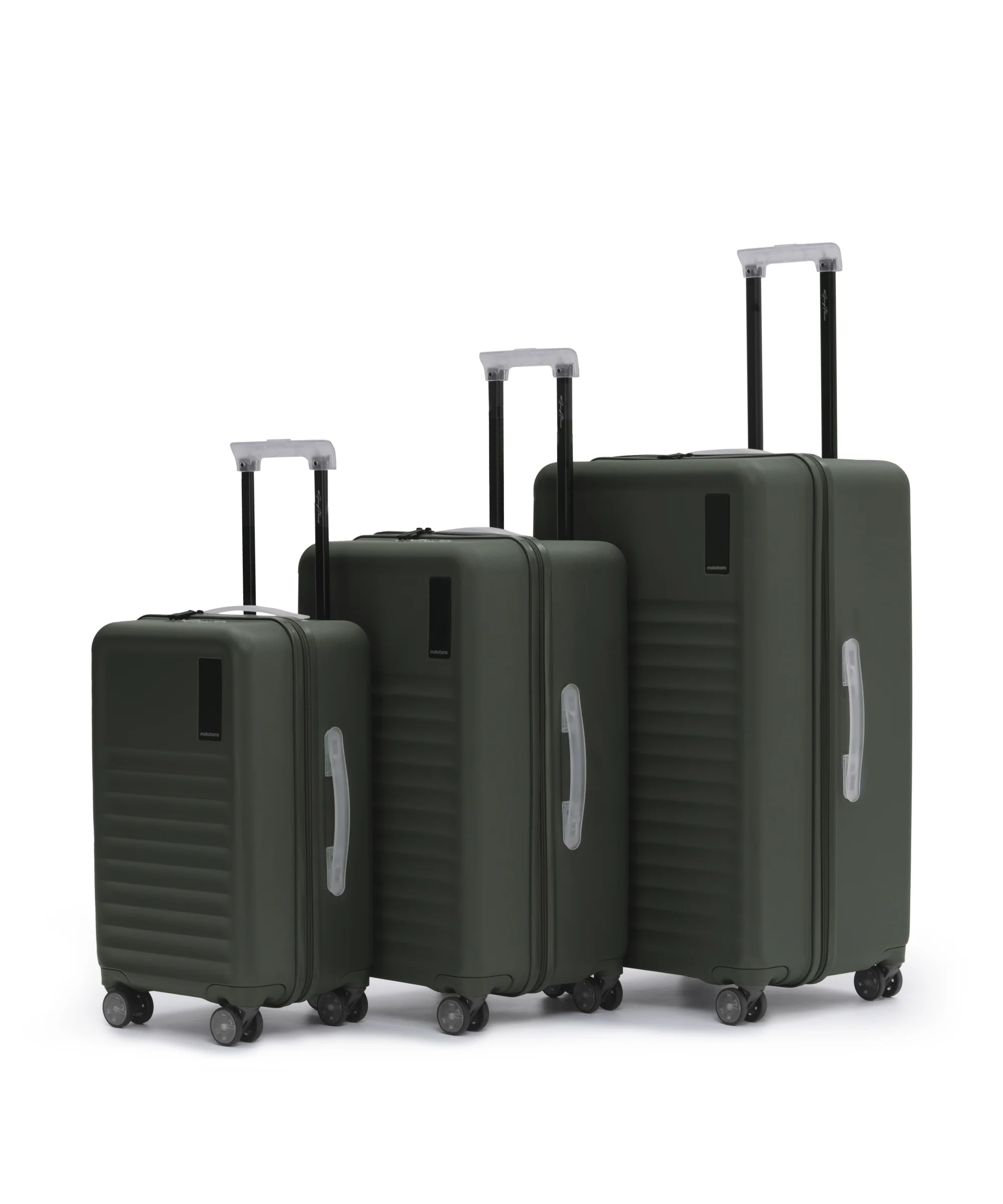 The Aisle Trunk - Set of 3 - Image 19