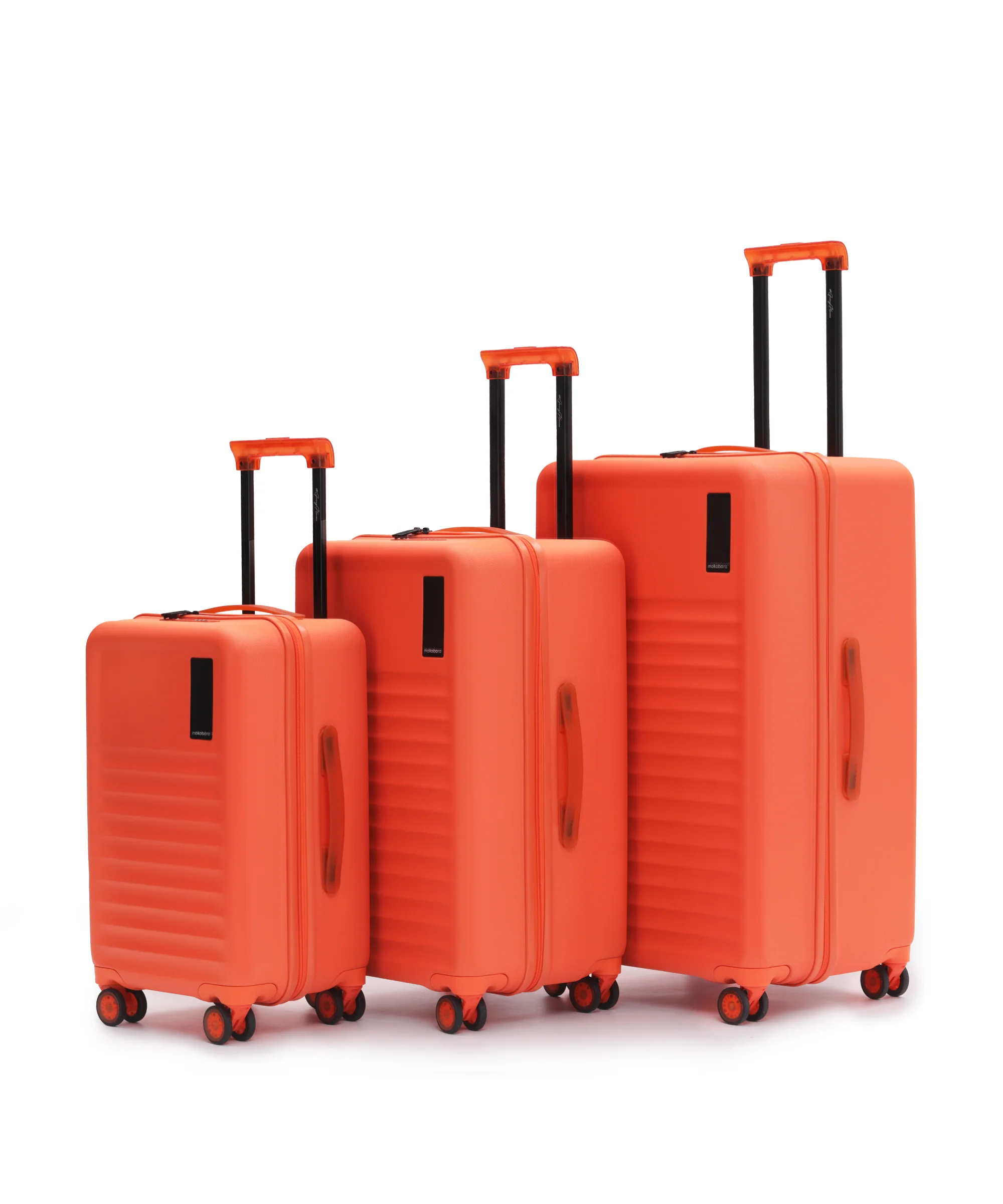 The Aisle Trunk - Set of 3 - Image 37