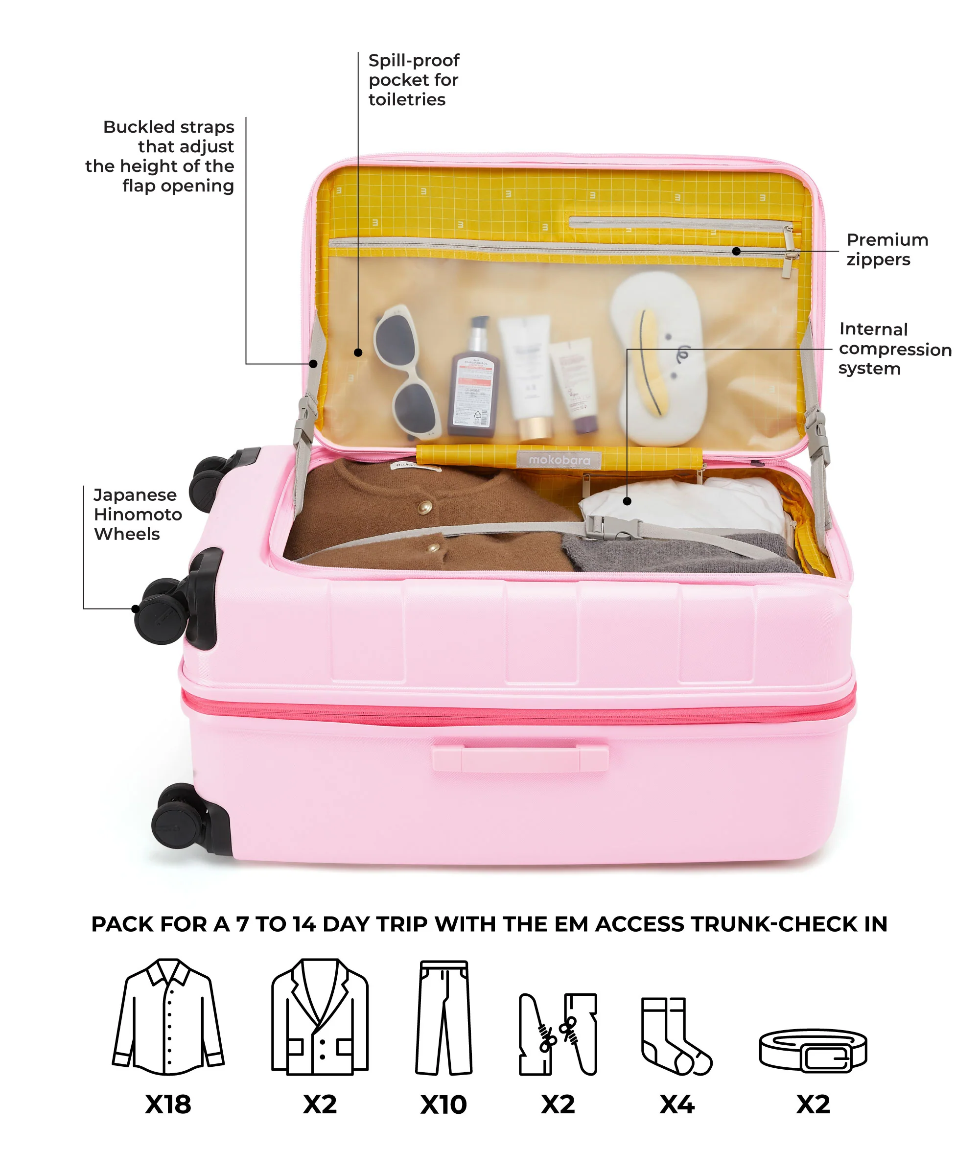 The Em Access Trunk-Check In - Image 41