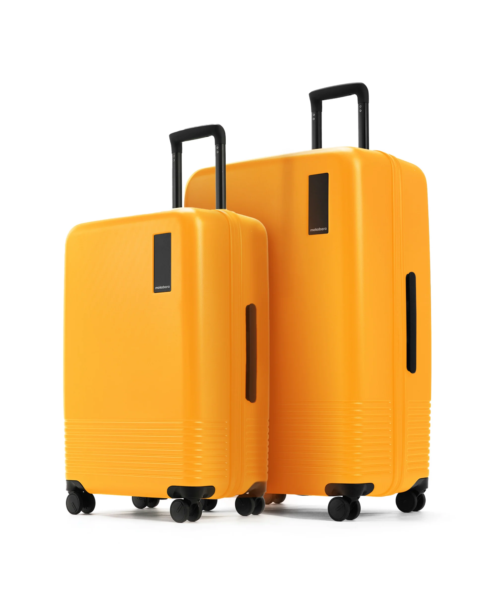 The Iconic Luggage Set of 2 (Check-in Medium + Large) - Image 2