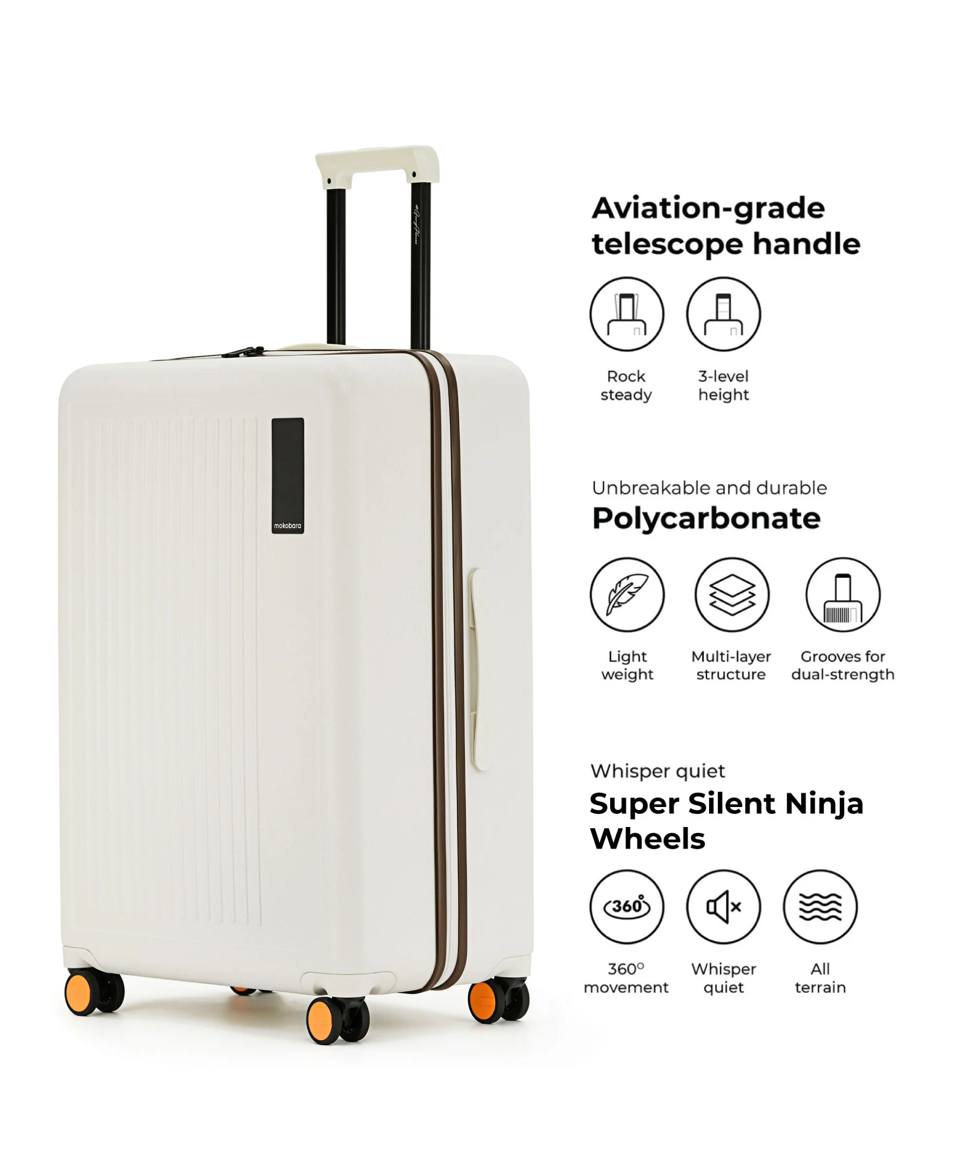 The Transit Luggage - Check-in Large - Image 29
