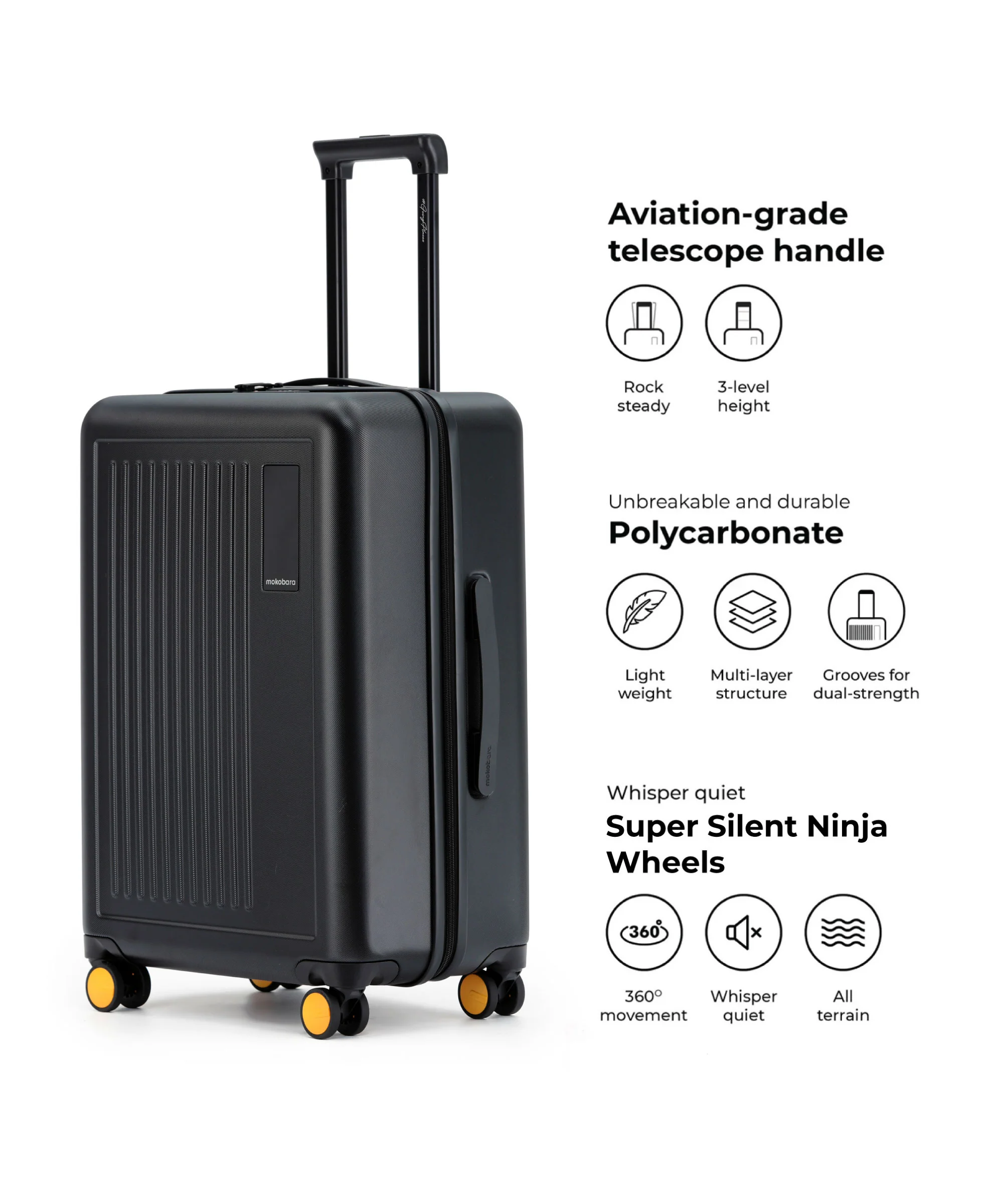The Transit Luggage - Check-in - Image 12