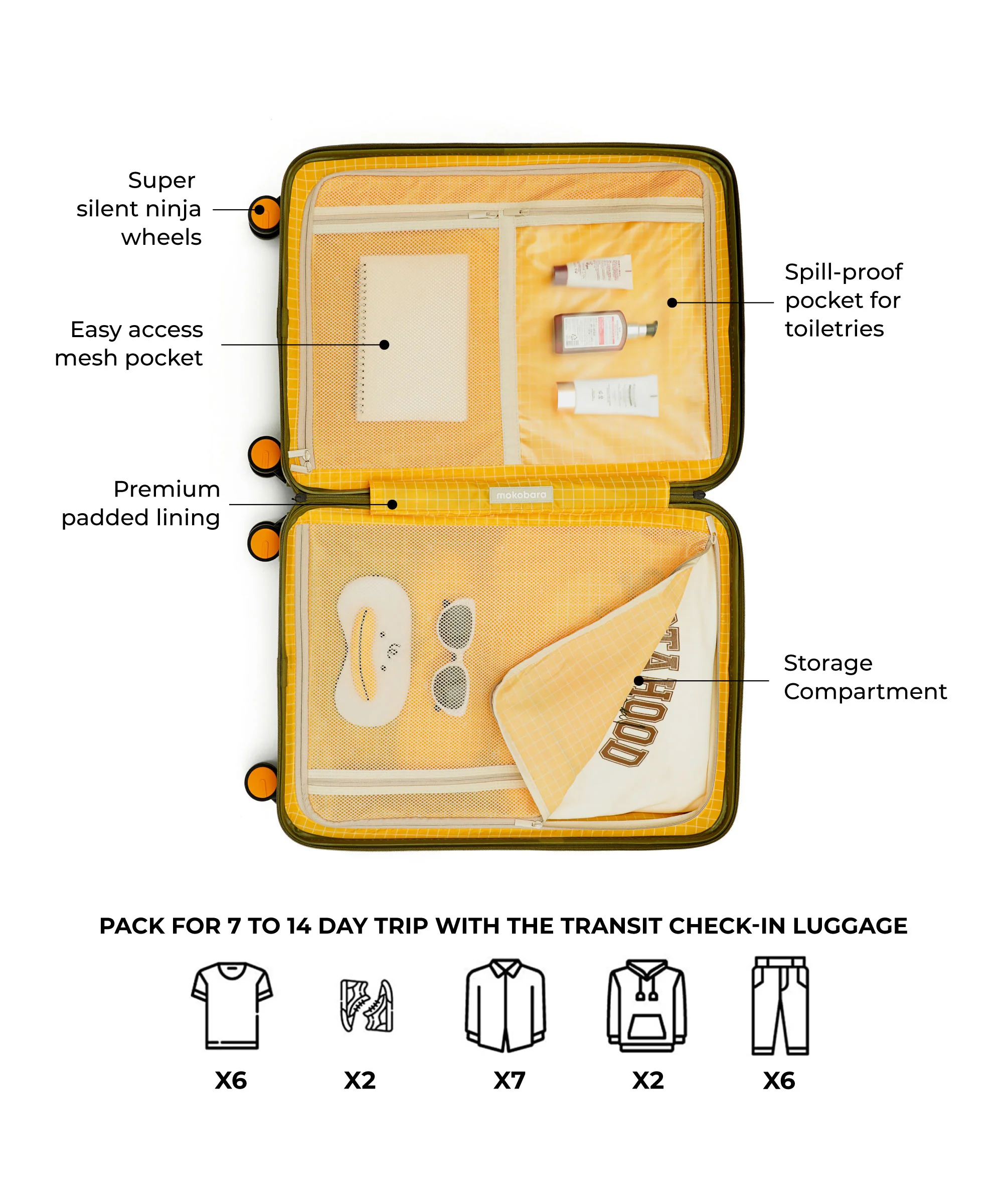 The Transit Luggage - Check-in - Image 14