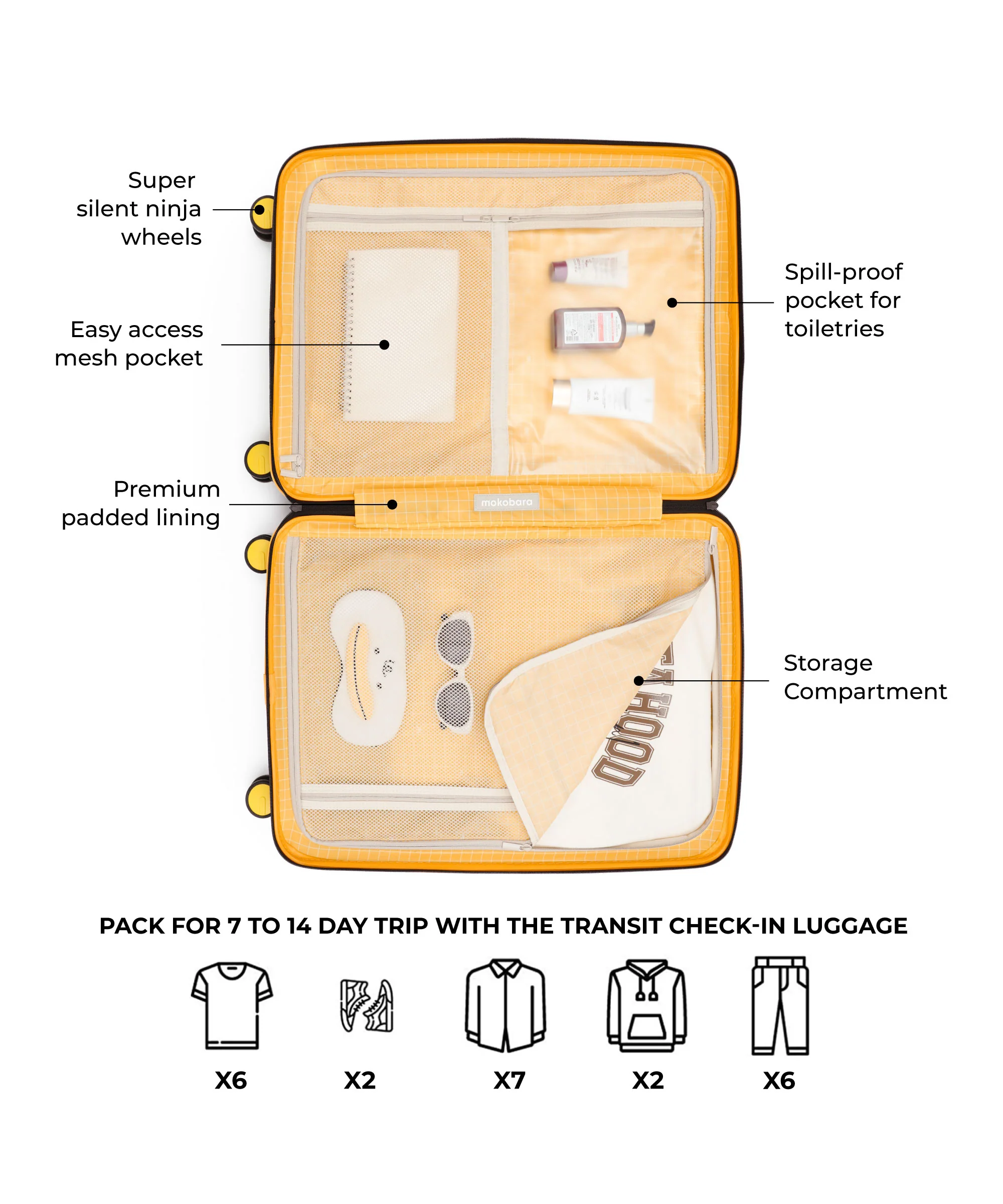 The Transit Luggage - Check-in - Image 19