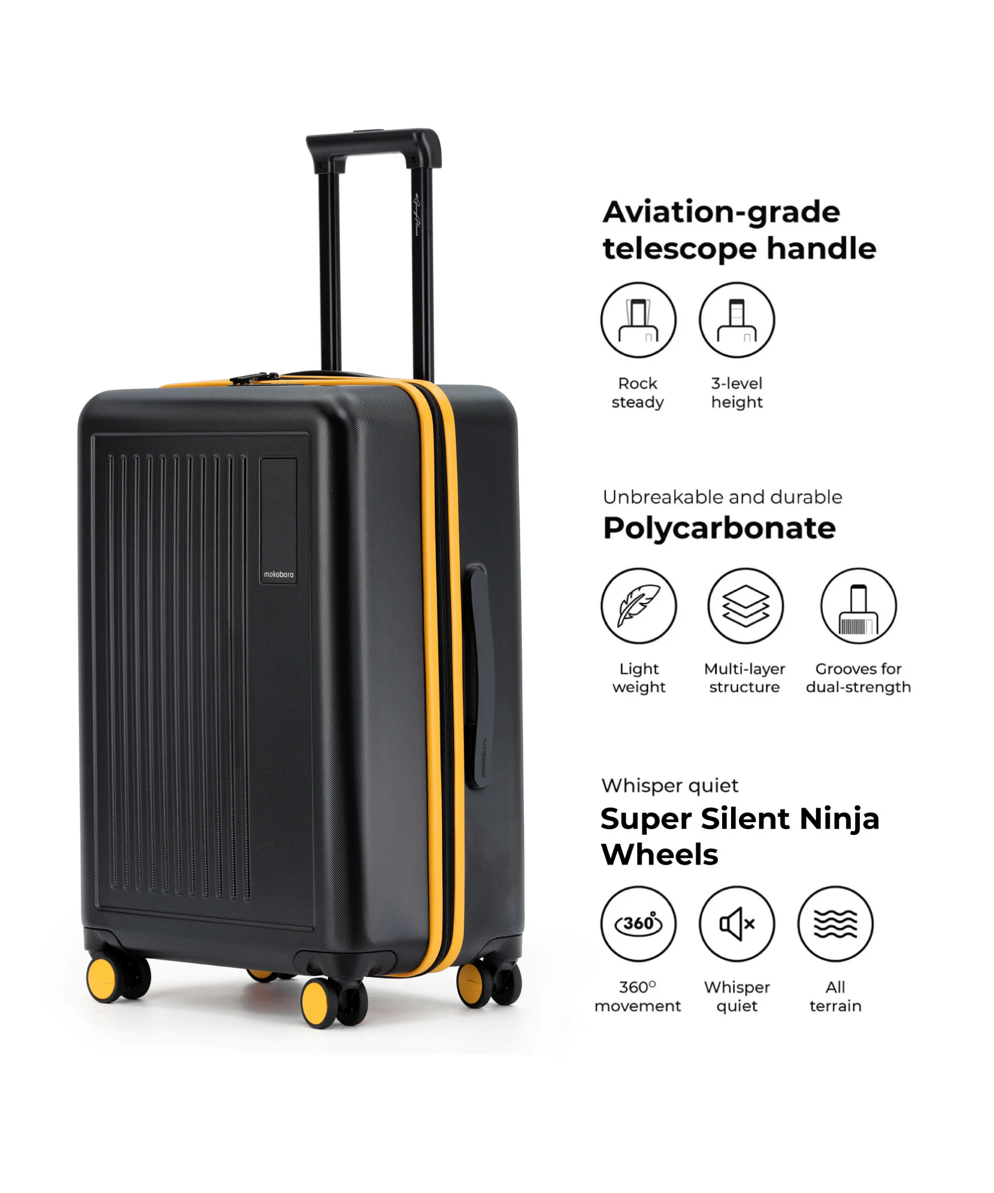 The Transit Luggage - Check-in - Image 22