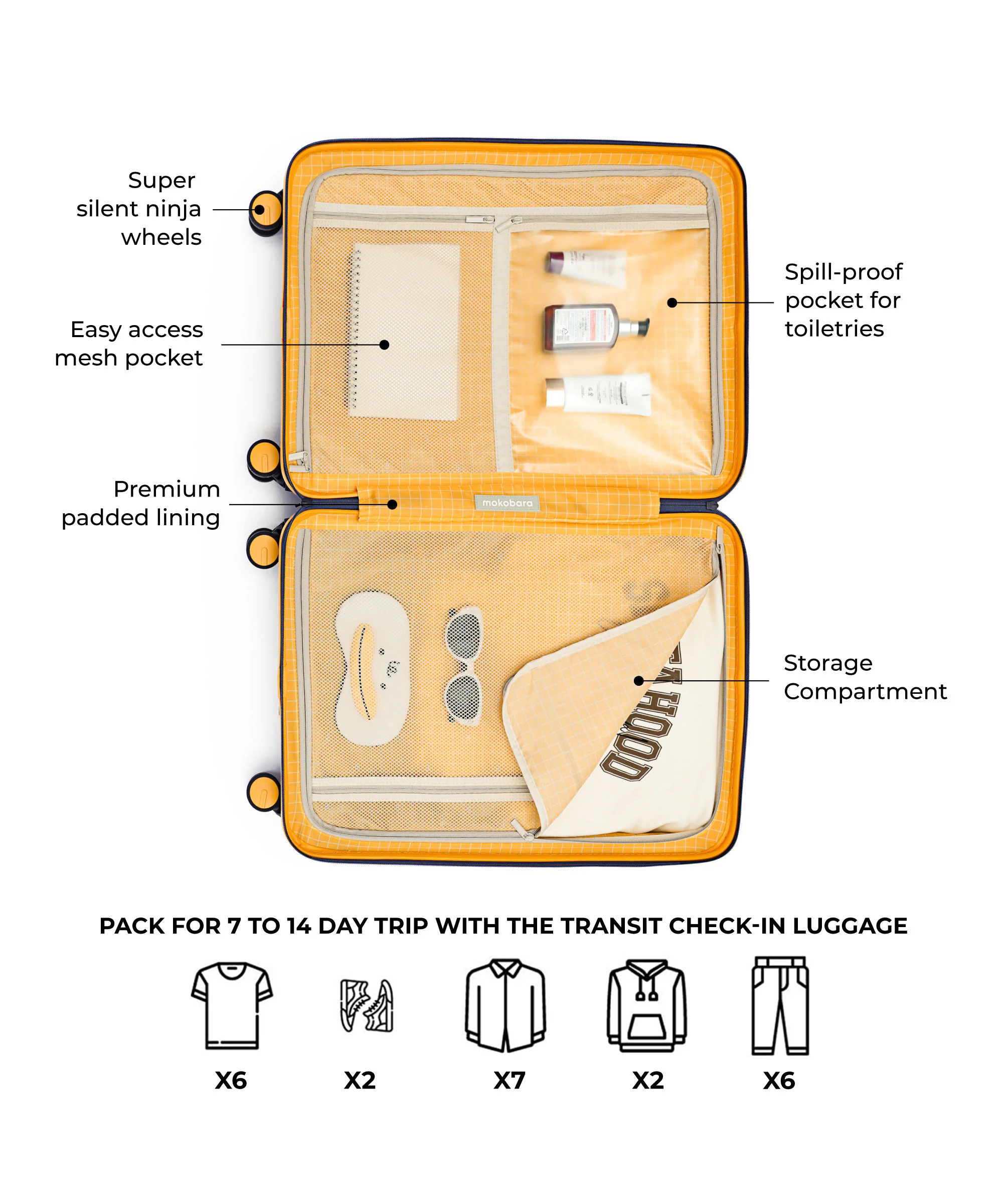 The Transit Luggage - Check-in - Image 24