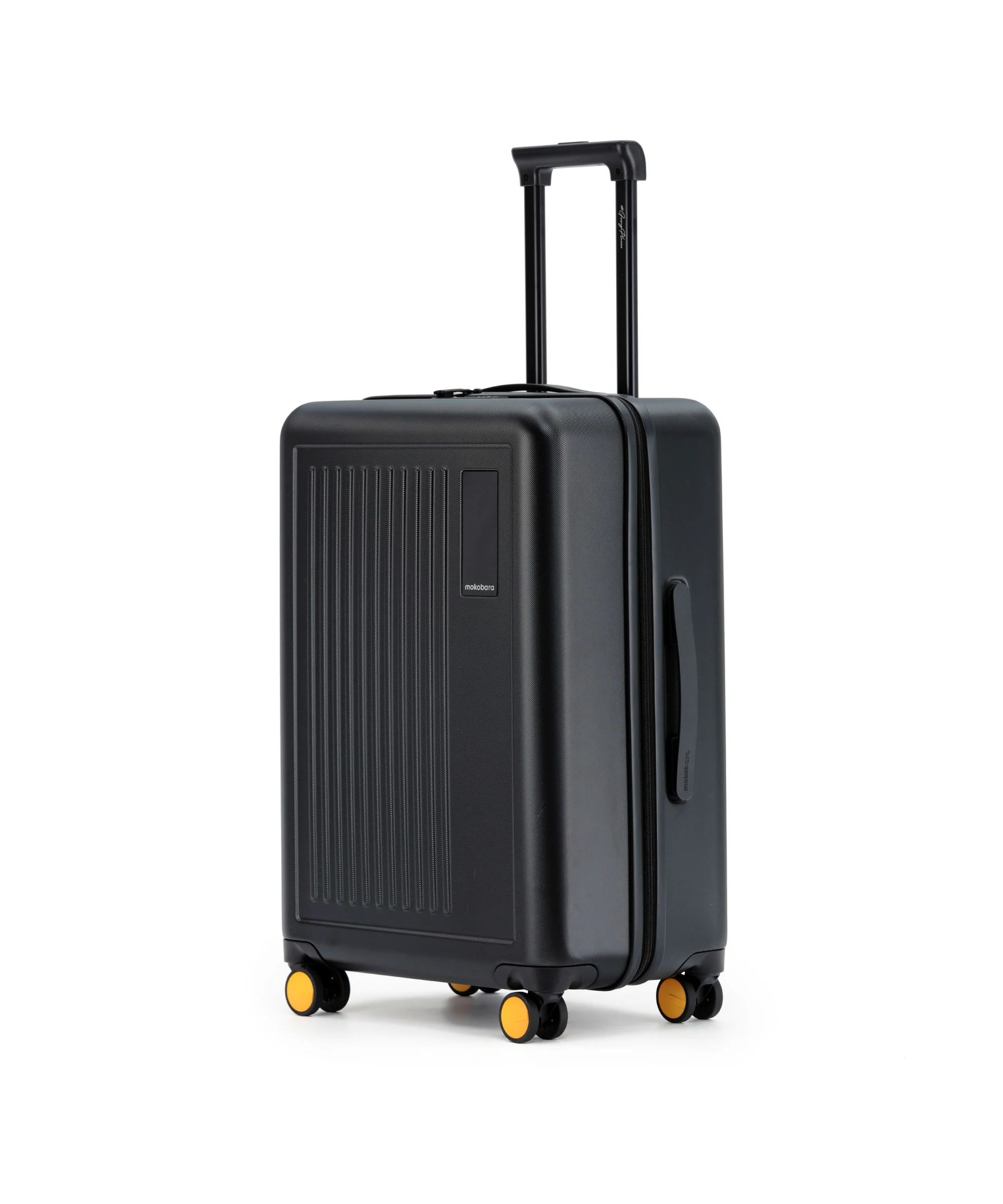The Transit Luggage - Check-in - Image 3