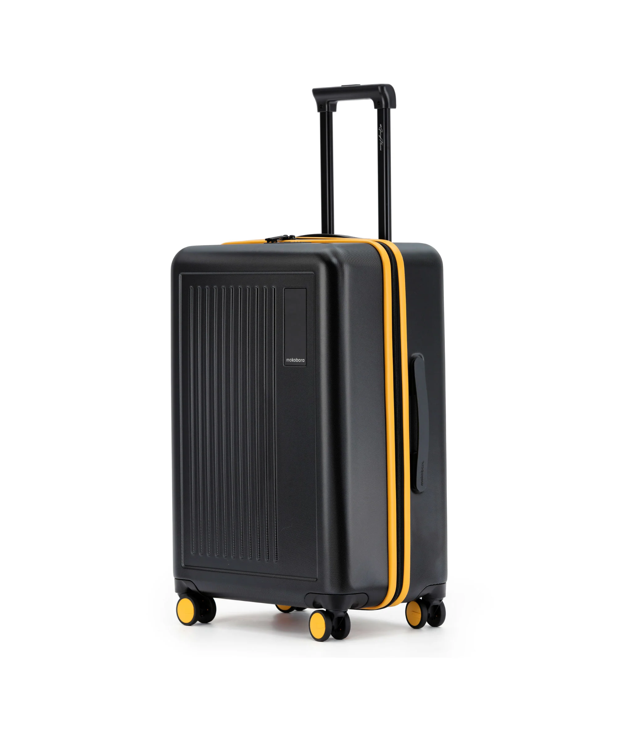 The Transit Luggage - Check-in - Image 4