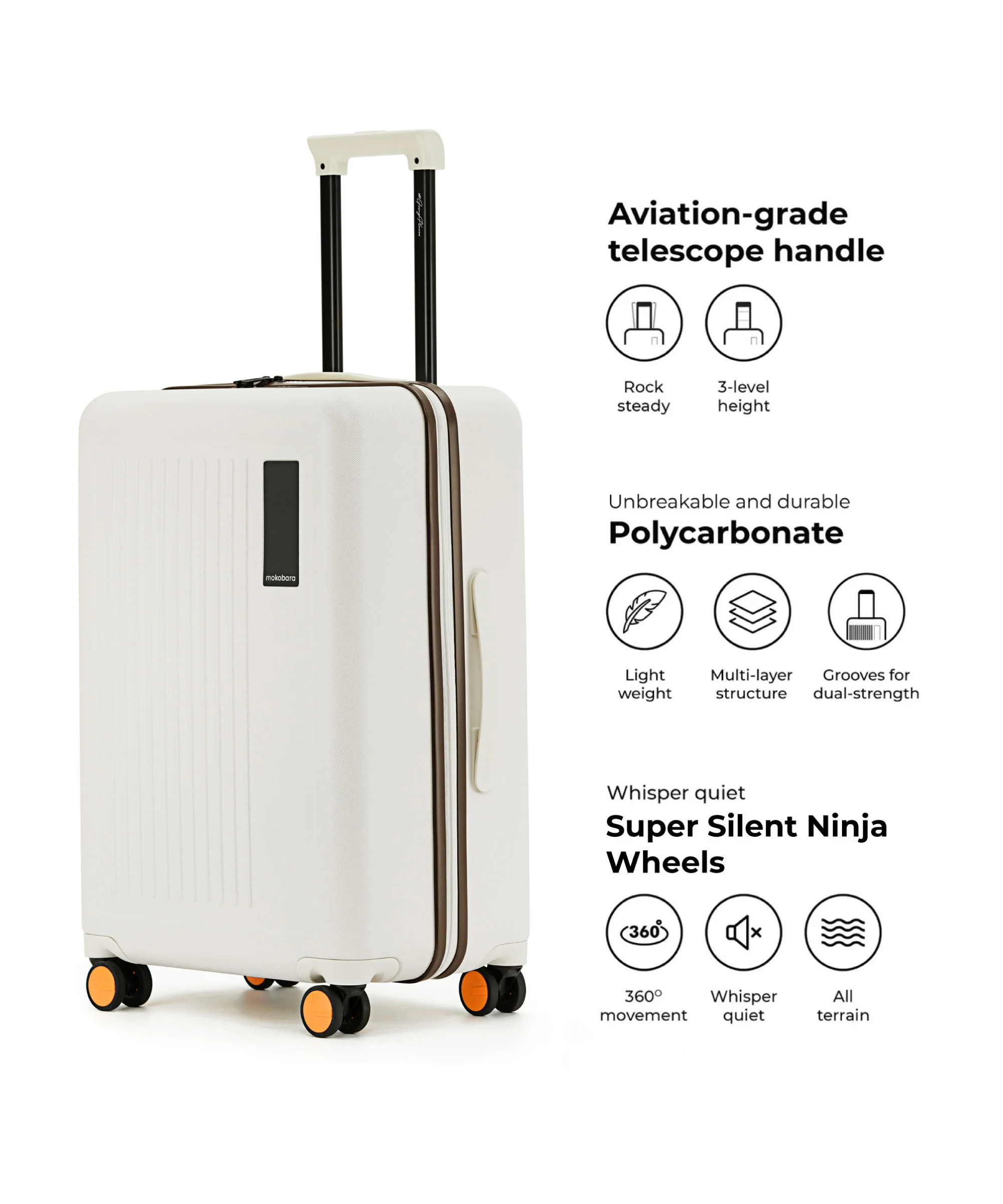 The Transit Luggage - Check-in - Image 7