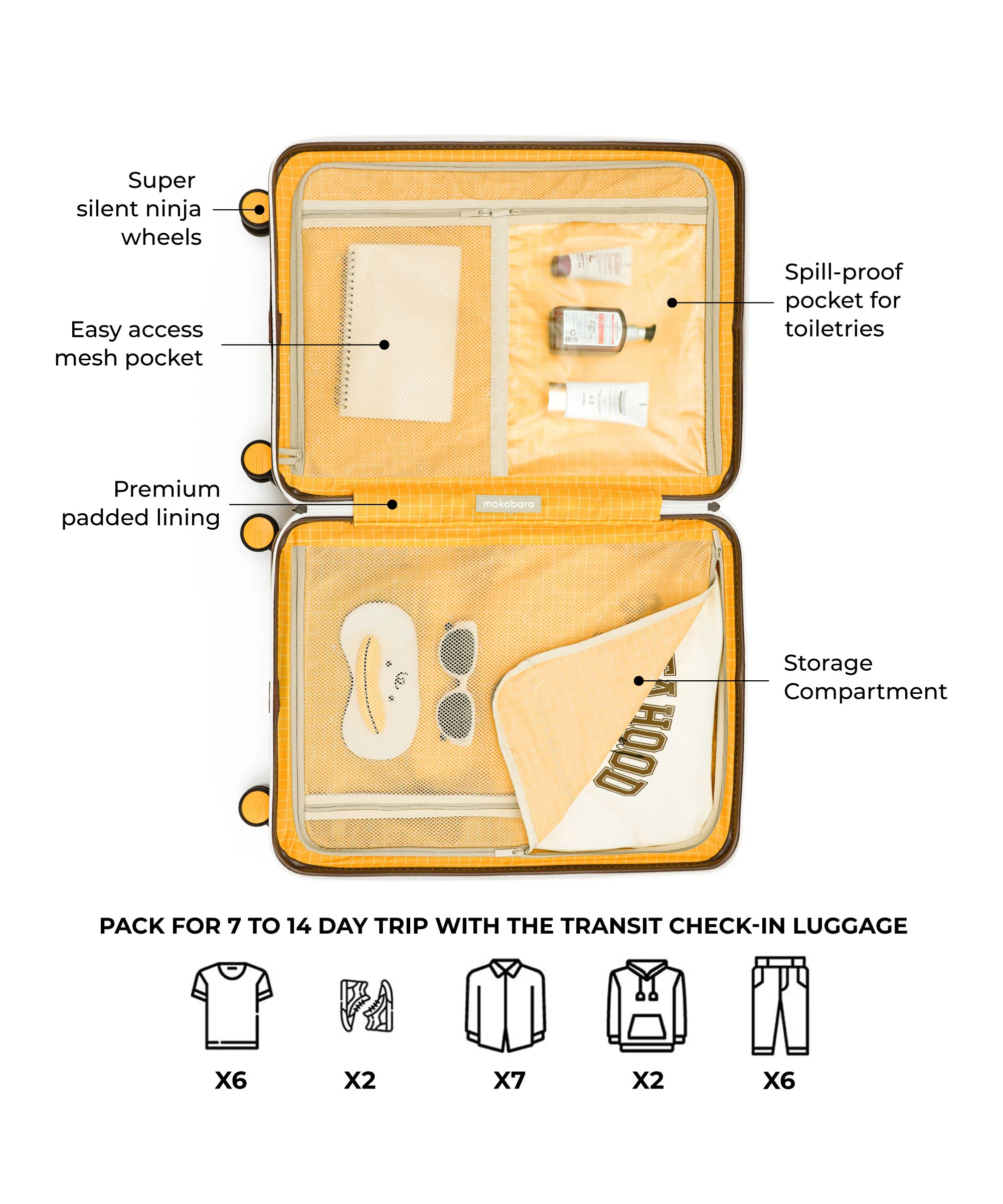 The Transit Luggage - Check-in - Image 9