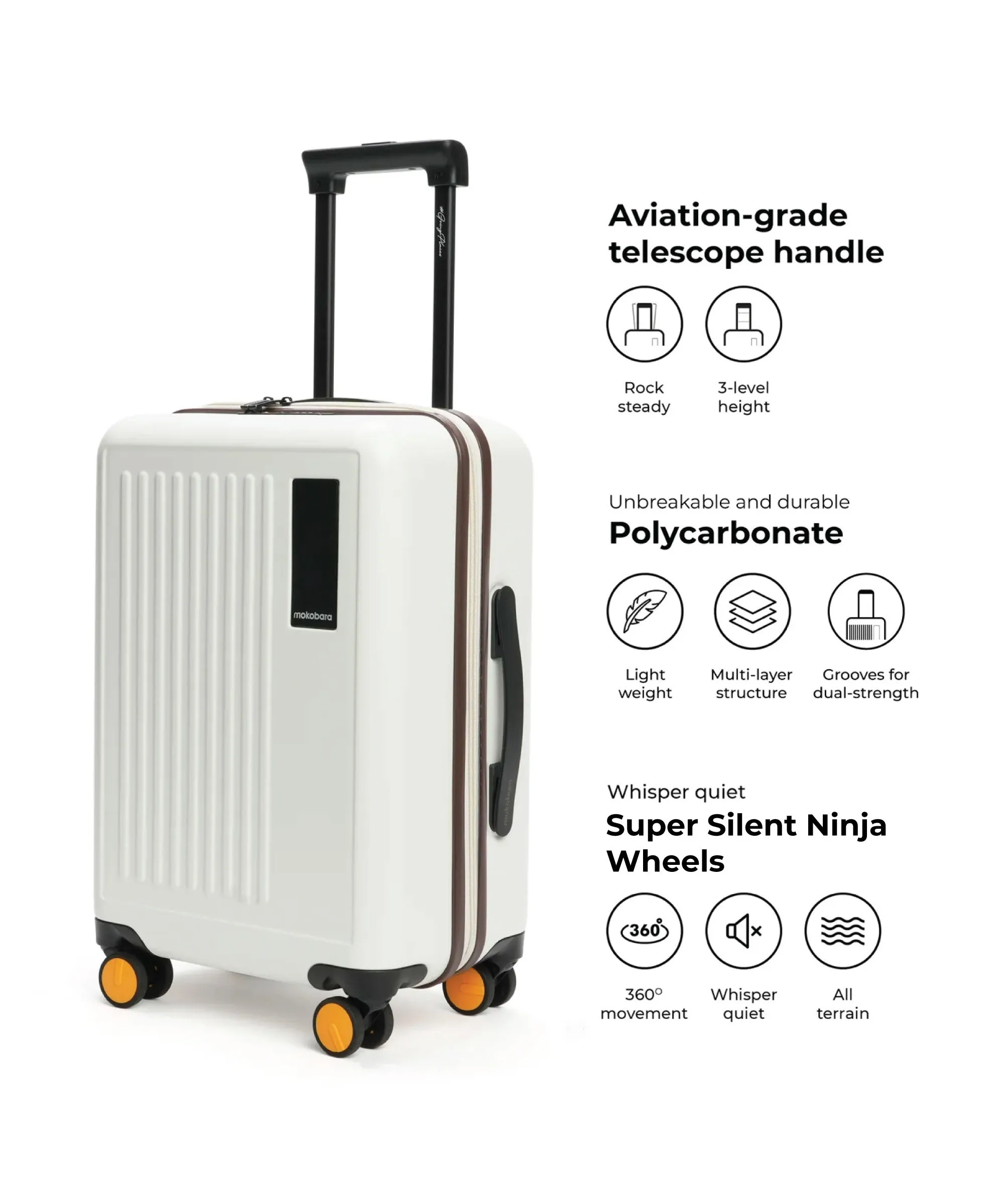 The Transit Luggage - Cabin (v1.0) - Image 24