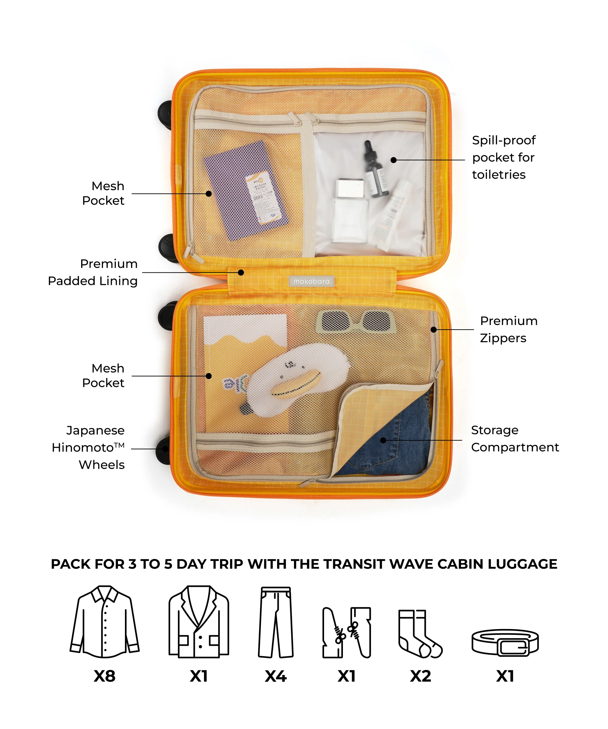 The Transit Wave - Cabin - Image 10