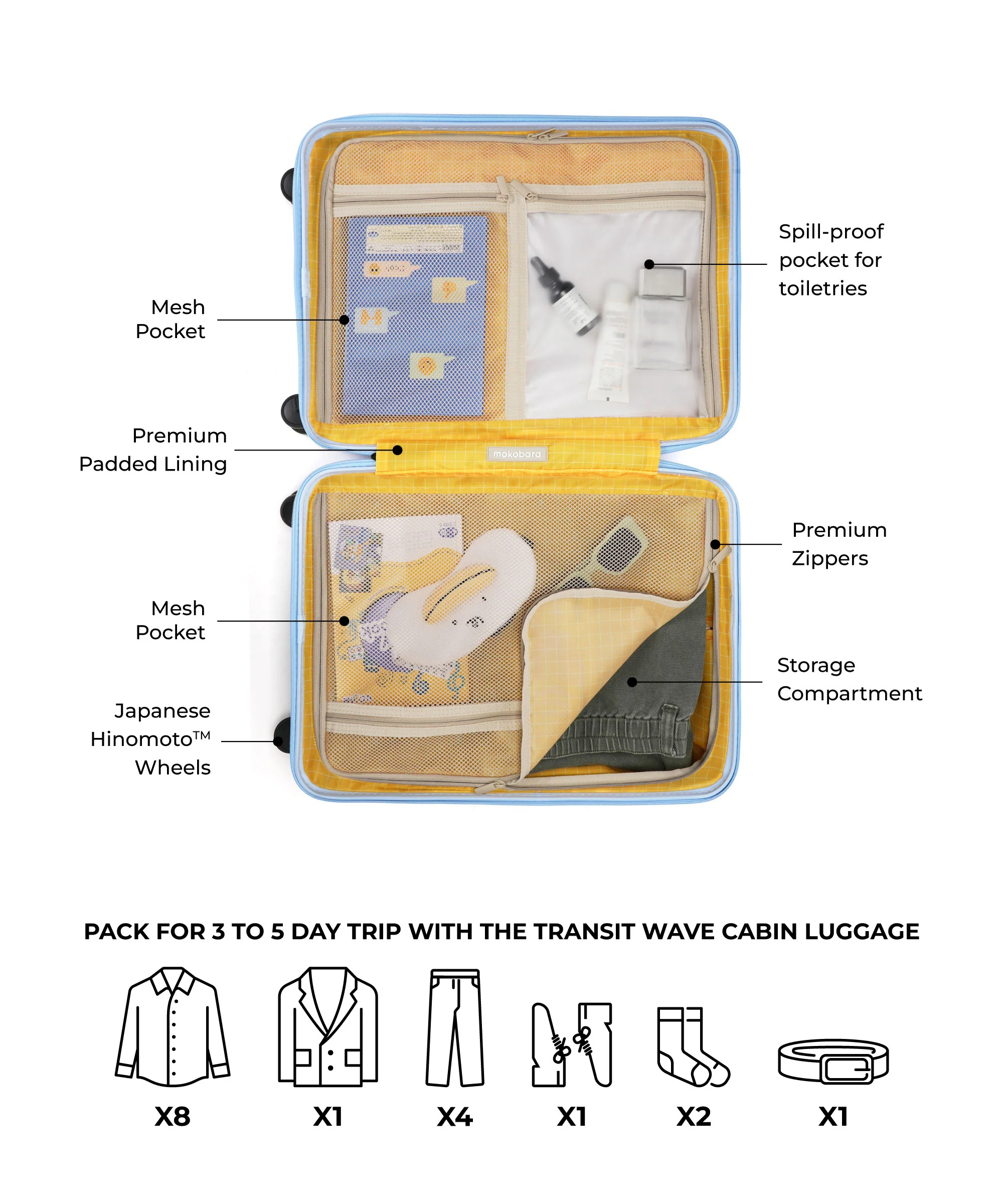 The Transit Wave - Cabin - Image 18