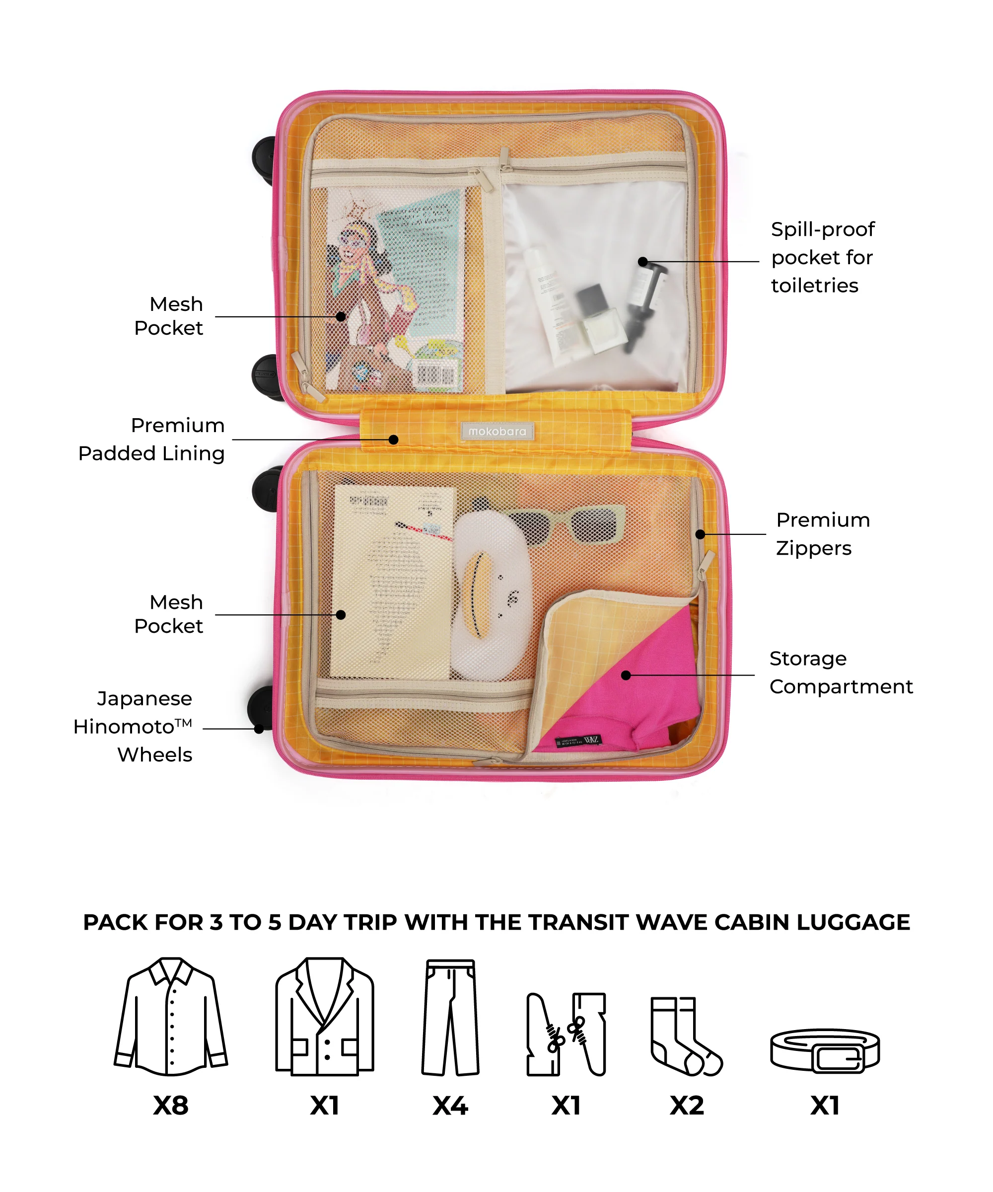 The Transit Wave - Cabin - Image 28