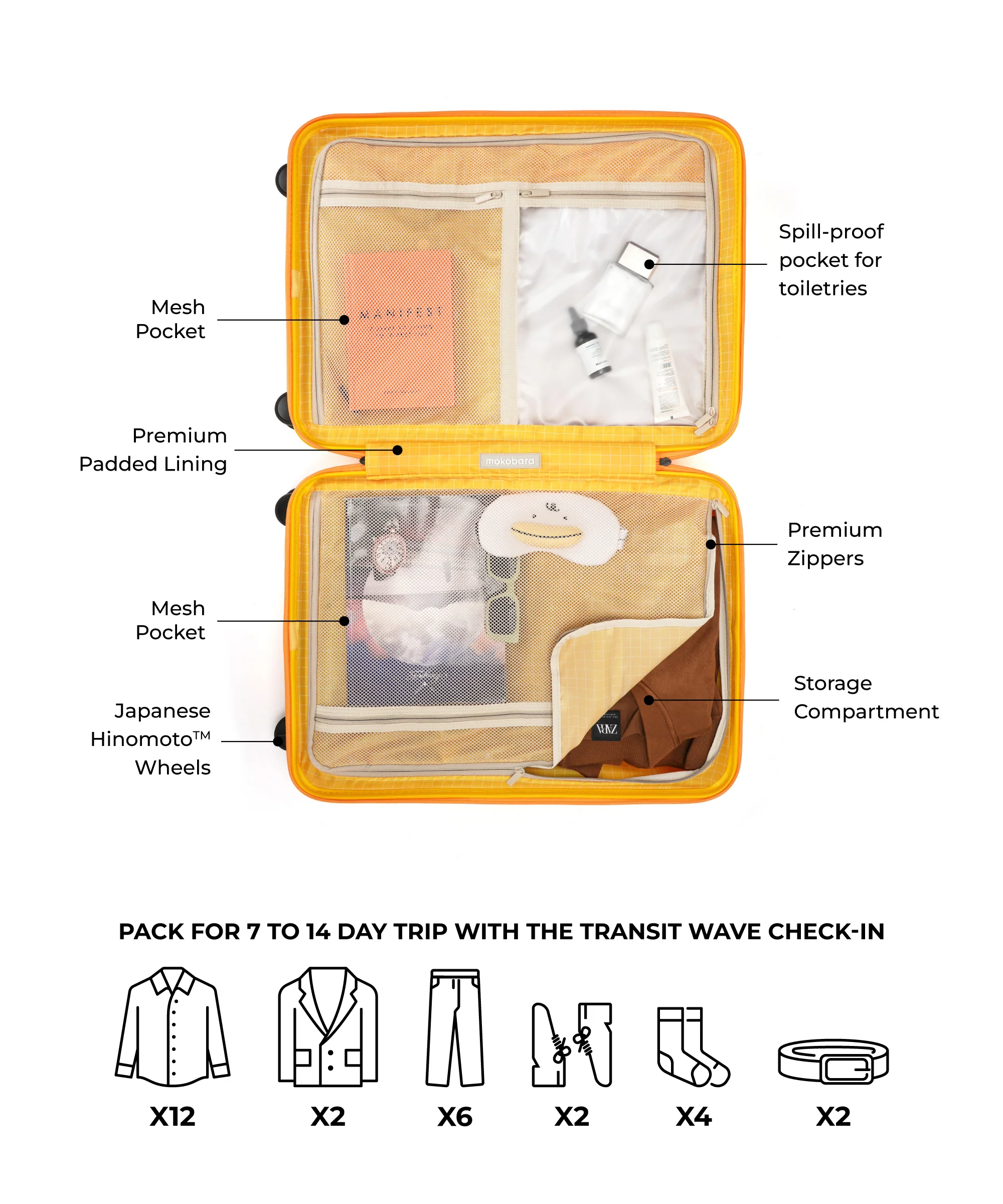 The Transit Wave - Check-in - Image 10