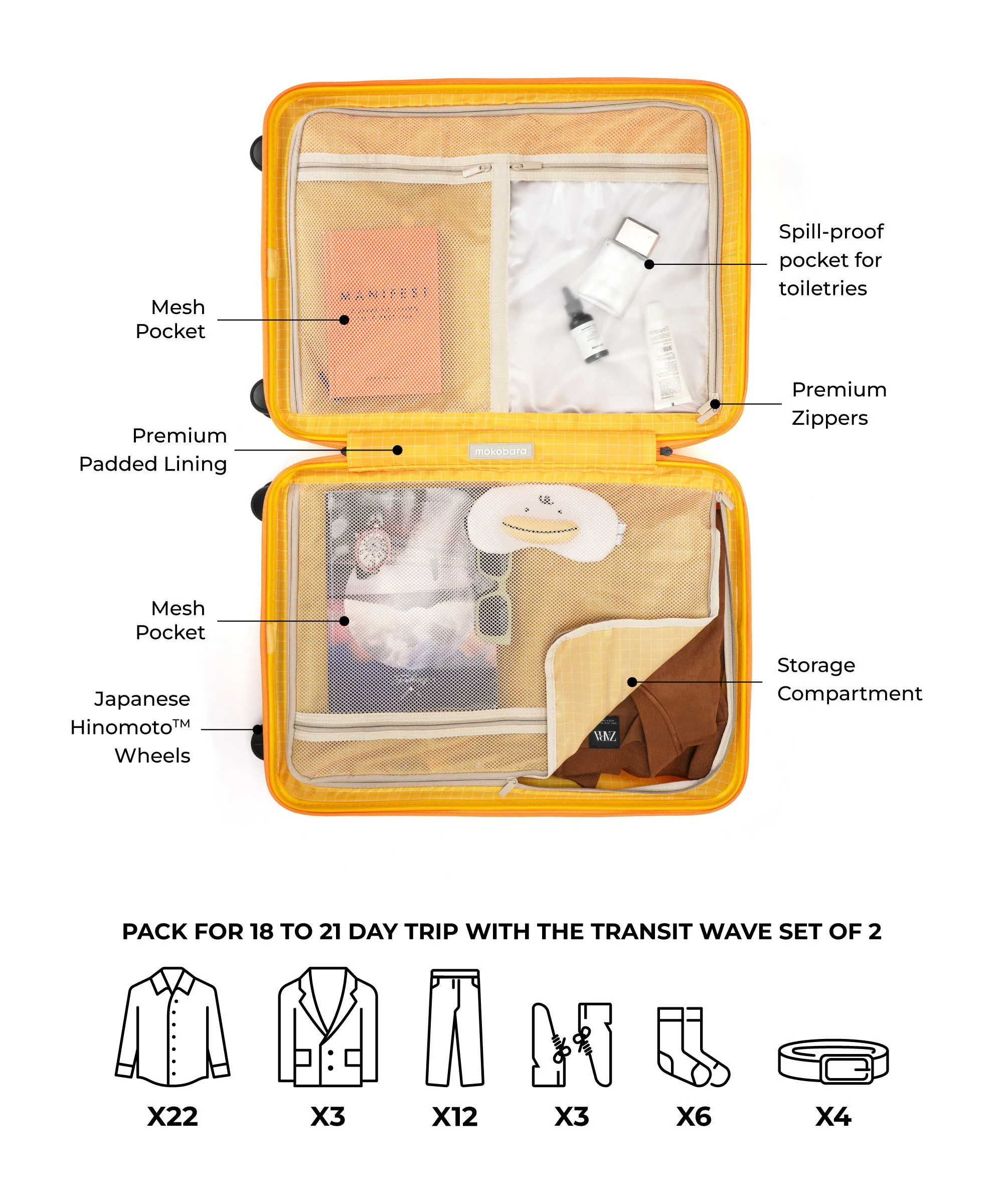 The Transit Wave - Set of 2 - Image 10